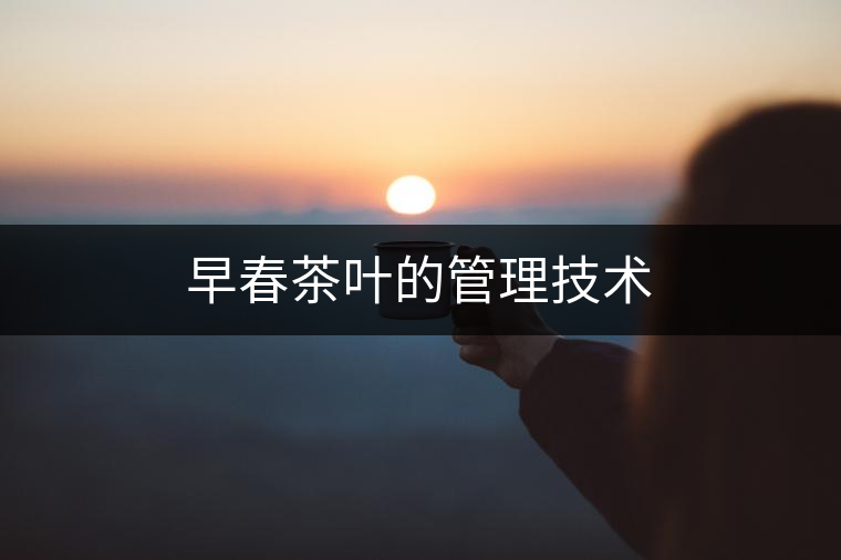 早春茶葉的管理技術(shù) 早春茶葉的管理技術(shù)