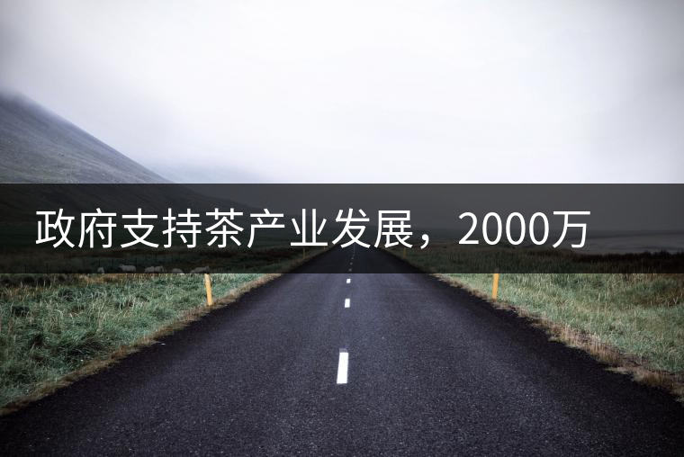政府支持茶產(chǎn)業(yè)發(fā)展，2000萬元扶持茶產(chǎn)業(yè)轉(zhuǎn)型升級(jí)