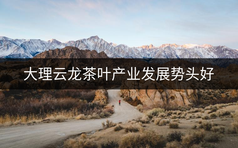 大理云龍茶葉產(chǎn)業(yè)發(fā)展勢頭好