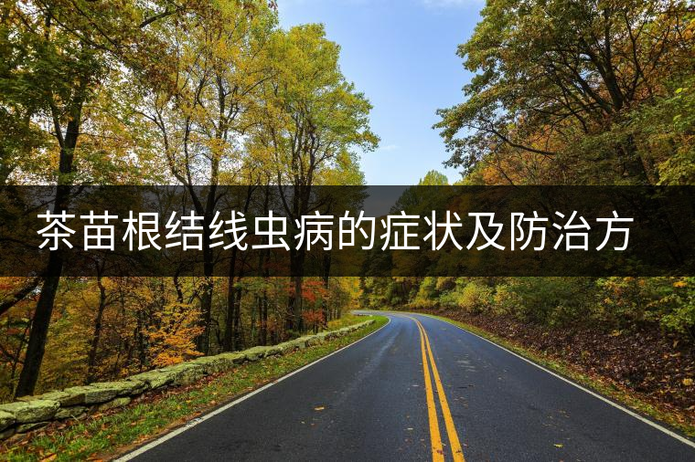 茶苗根結(jié)線蟲(chóng)病的癥狀及防治方法