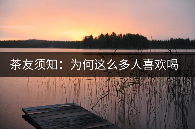 茶友須知：為何這么多人喜歡喝普洱春茶？