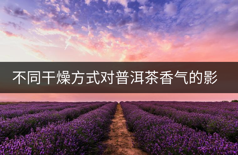 不同干燥方式對普洱茶香氣的影響研究 不同干燥方式對普洱茶香氣的影響研究