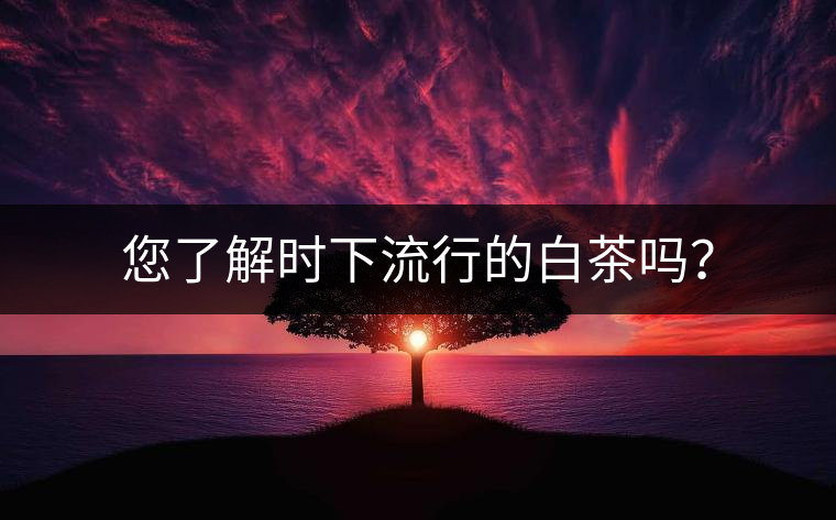 您了解時下流行的白茶嗎？