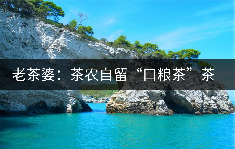 老茶婆：茶農(nóng)自留“口糧茶”茶市中的老茶新寵