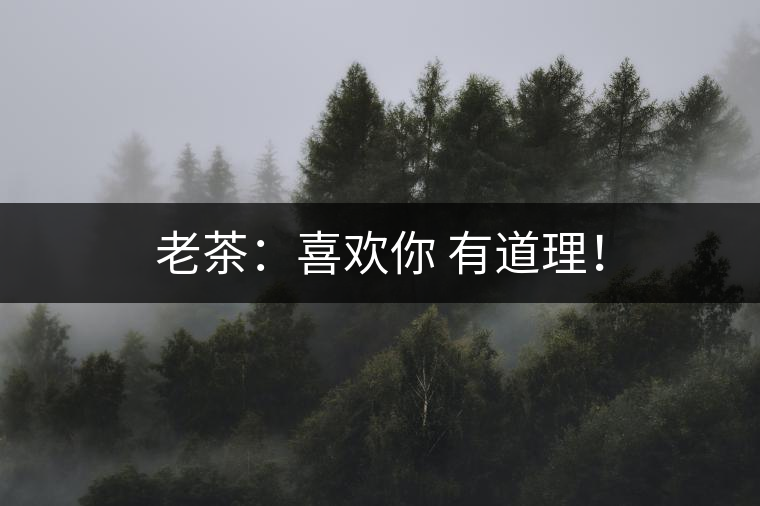 老茶：喜歡你 有道理！