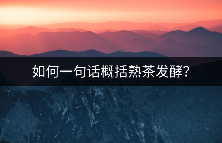 如何一句話概括熟茶發(fā)酵？