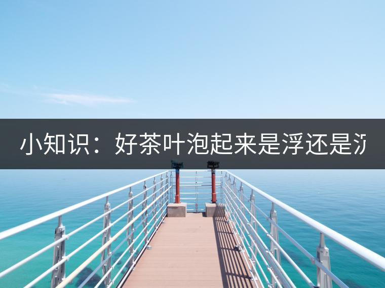 小知識：好茶葉泡起來是浮還是沉？
