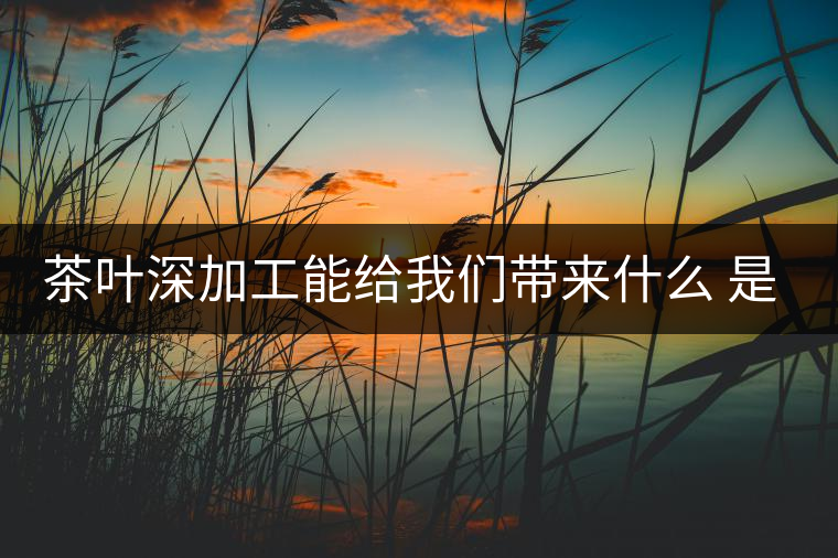茶葉深加工能給我們帶來什么 是利還是弊呢？