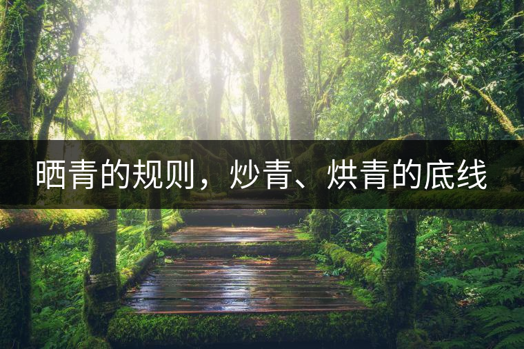 曬青的規(guī)則，炒青、烘青的底線