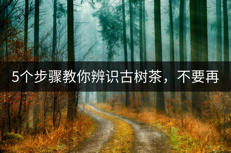 5個步驟教你辨識古樹茶，不要再被騙了！