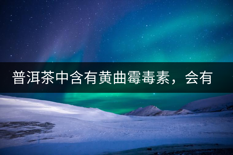 普洱茶中含有黃曲霉毒素，會(huì)有致癌的危險(xiǎn)？終于有明確的答案了