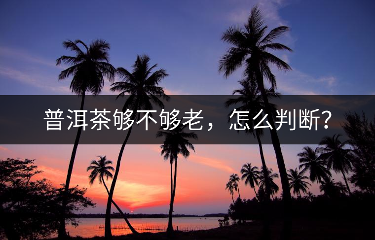 普洱茶夠不夠老，怎么判斷？