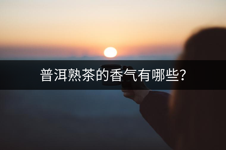 普洱熟茶的香氣有哪些？