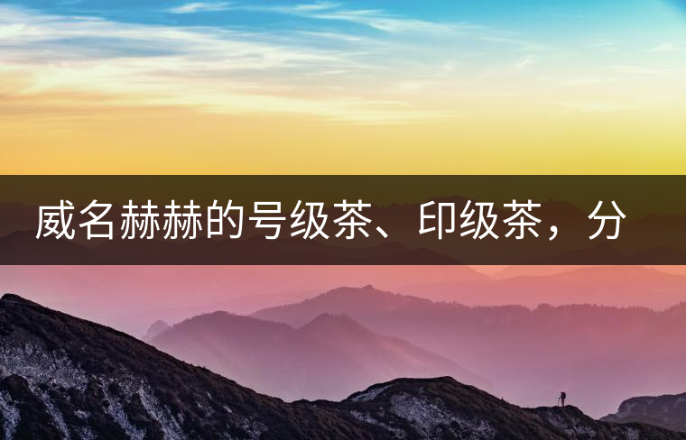 威名赫赫的號級茶、印級茶，分別是些什么普洱茶？