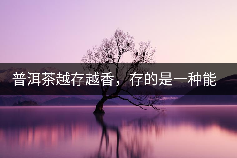 普洱茶越存越香，存的是一種能量