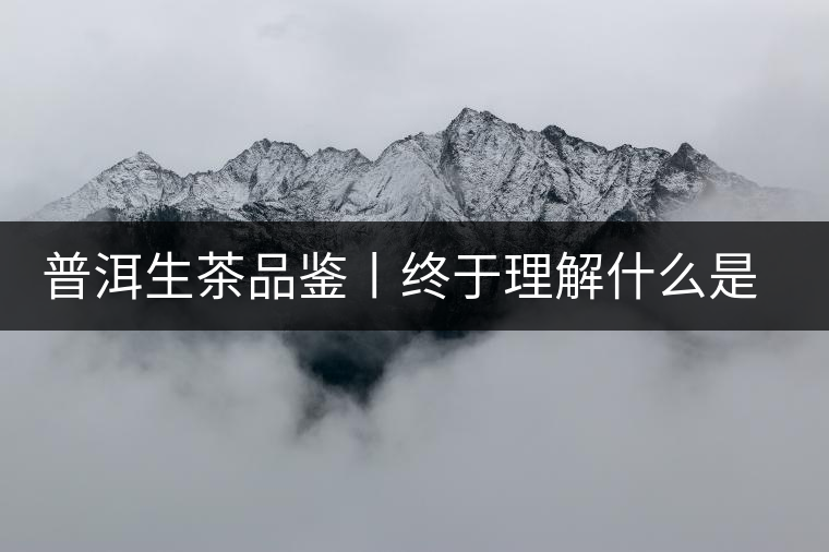 普洱生茶品鑒丨終于理解什么是“醇厚、耐泡，回甘”了