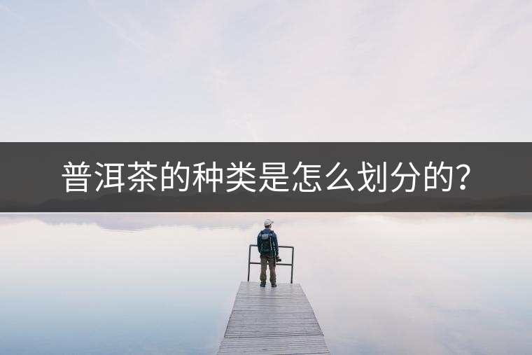普洱茶的種類是怎么劃分的？