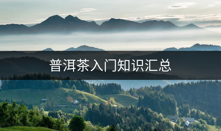 普洱茶入門知識(shí)匯總