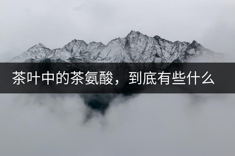茶葉中的茶氨酸，到底有些什么功效？