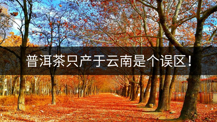 普洱茶只產于云南是個誤區(qū)！