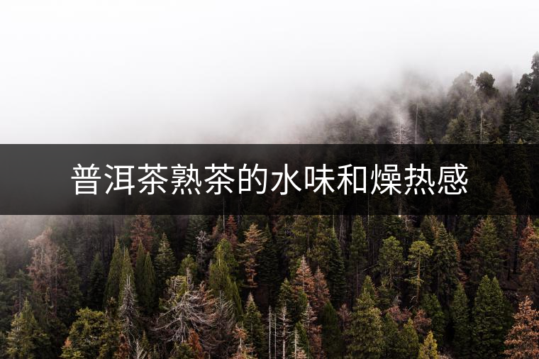 普洱茶熟茶的水味和燥熱感 普洱茶熟茶的水味和燥熱感