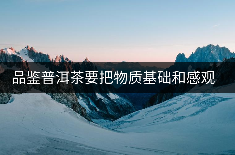 品鑒普洱茶要把物質(zhì)基礎(chǔ)和感觀體驗(yàn)結(jié)合