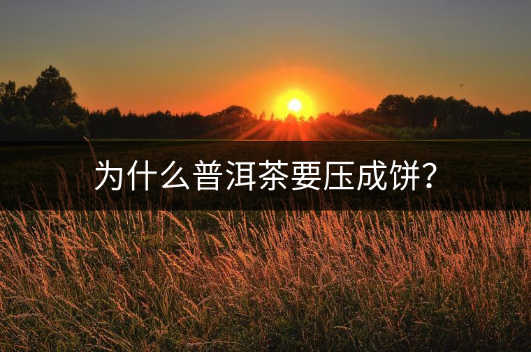 為什么普洱茶要壓成餅？