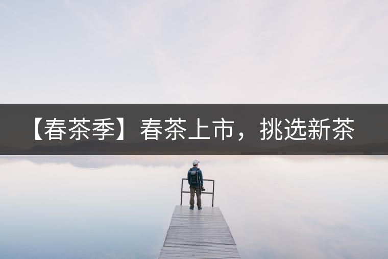 【春茶季】春茶上市，挑選新茶有講究