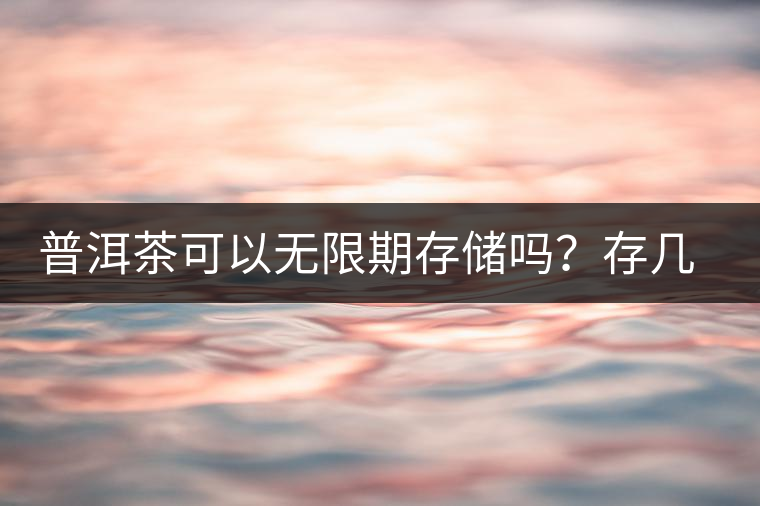 普洱茶可以無限期存儲嗎？存幾年最好喝？存得越久價格越貴？