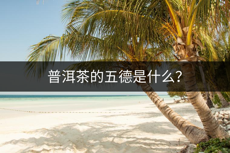 普洱茶的五德是什么？
