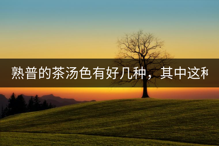 熟普的茶湯色有好幾種，其中這種不建議喝！