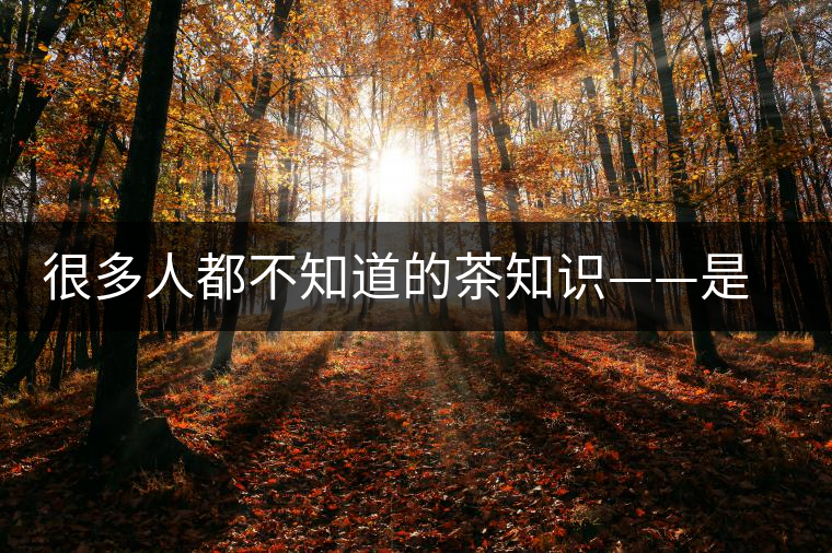 很多人都不知道的茶知識——是什么造就了普洱茶的一山一味？
