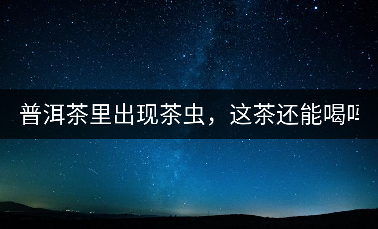 普洱茶里出現(xiàn)茶蟲，這茶還能喝嗎？