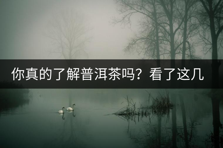 你真的了解普洱茶嗎？看了這幾個問題……