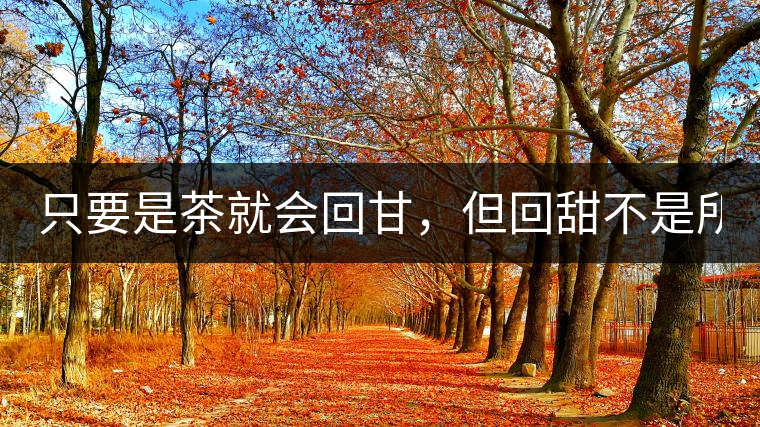 只要是茶就會回甘，但回甜不是所有茶都有！