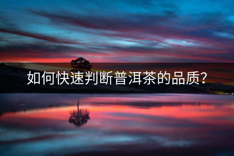 如何快速判斷普洱茶的品質(zhì)？