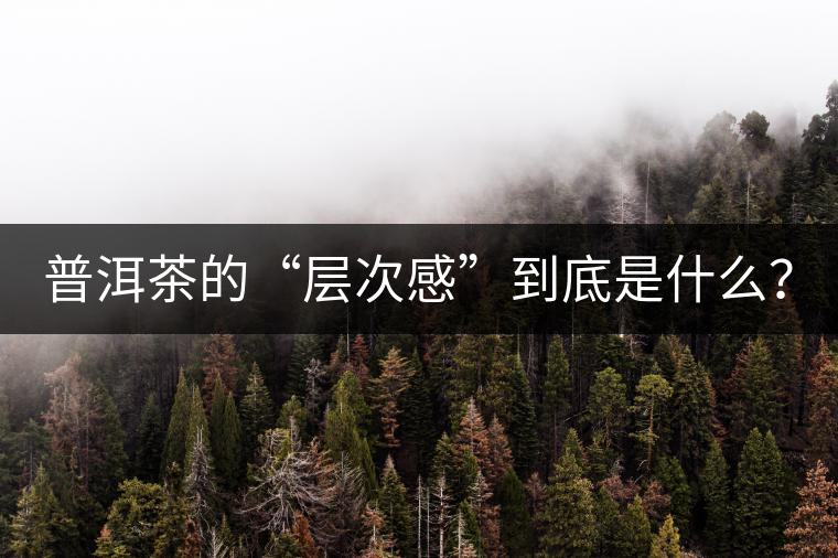 普洱茶的“層次感”到底是什么？