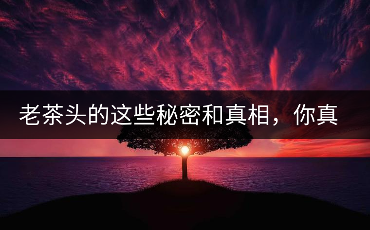 老茶頭的這些秘密和真相，你真的知道嗎？