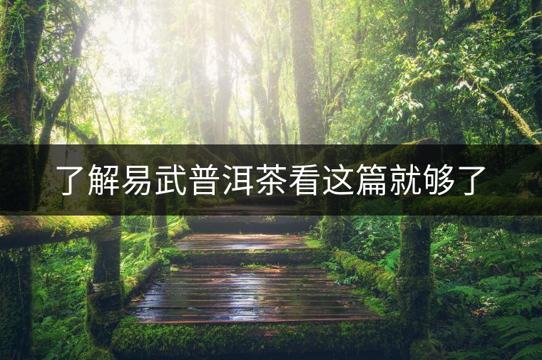 了解易武普洱茶看這篇就夠了