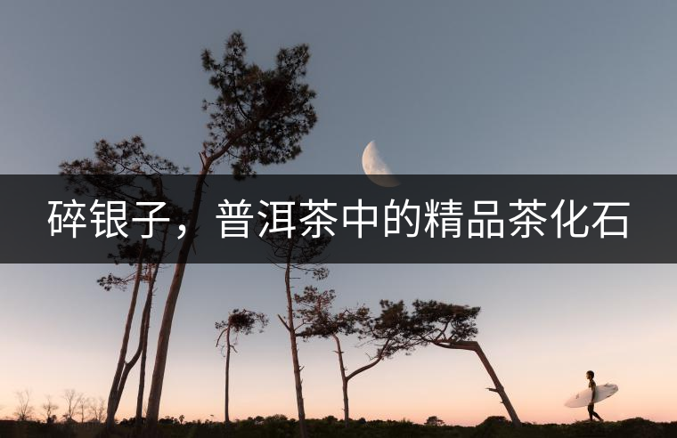 碎銀子，普洱茶中的精品茶化石