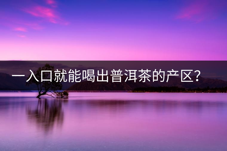 一入口就能喝出普洱茶的產(chǎn)區(qū)？怎么能不讀這篇文章呢？
