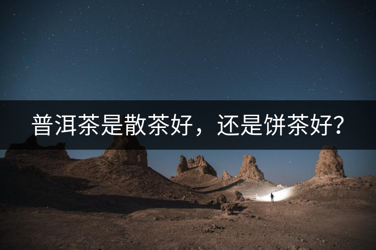 普洱茶是散茶好，還是餅茶好？