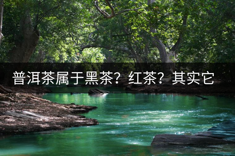 普洱茶屬于黑茶？紅茶？其實(shí)它就叫“普洱茶”