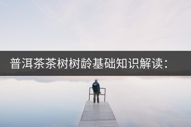 普洱茶茶樹樹齡基礎知識解讀：多大樹齡的茶才算古樹茶？