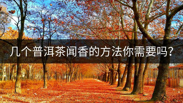 幾個普洱茶聞香的方法你需要嗎？