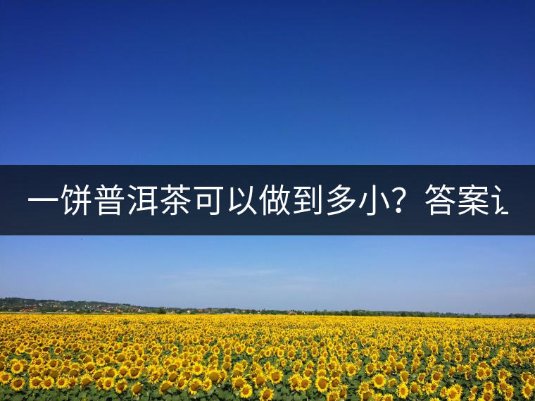 一餅普洱茶可以做到多??？答案讓人意想不到...