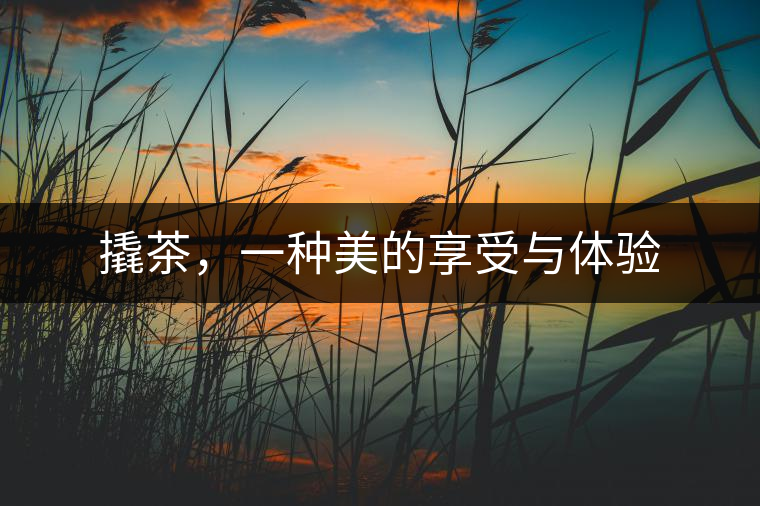 撬茶，一種美的享受與體驗(yàn)