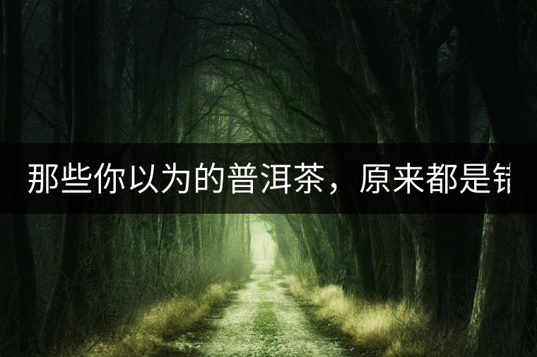 那些你以為的普洱茶，原來都是錯(cuò)的！