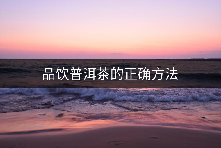 品飲普洱茶的正確方法