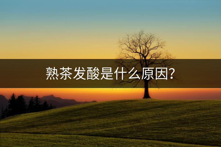熟茶發(fā)酸是什么原因？